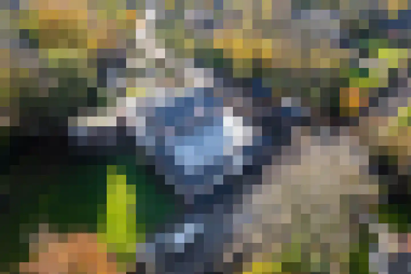 Dorpsstraat 1 c Ophemert thumbnail 31