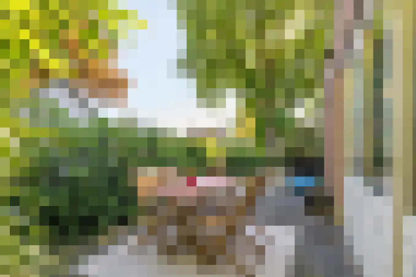 Dorpsstraat 1 c Ophemert thumbnail 4