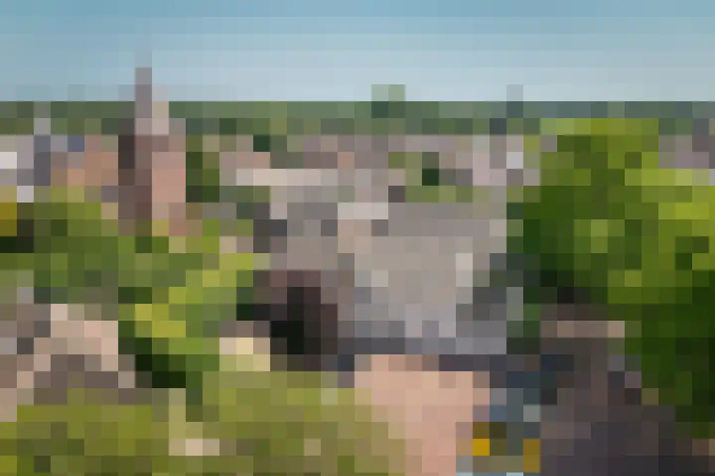 Dorpsstraat 1 Esch thumbnail 42