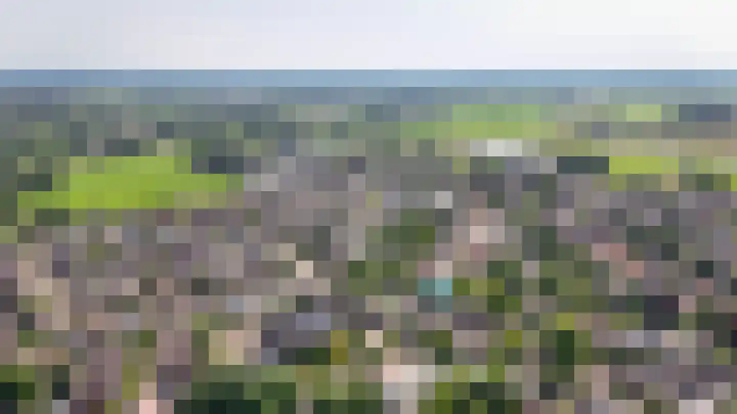 Dorpsstraat 1 Esch thumbnail 44