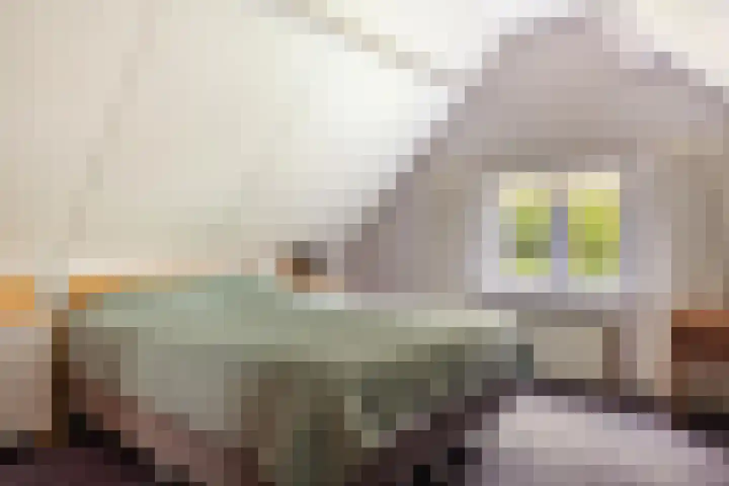 Dorpsstraat 1 Haule thumbnail 26