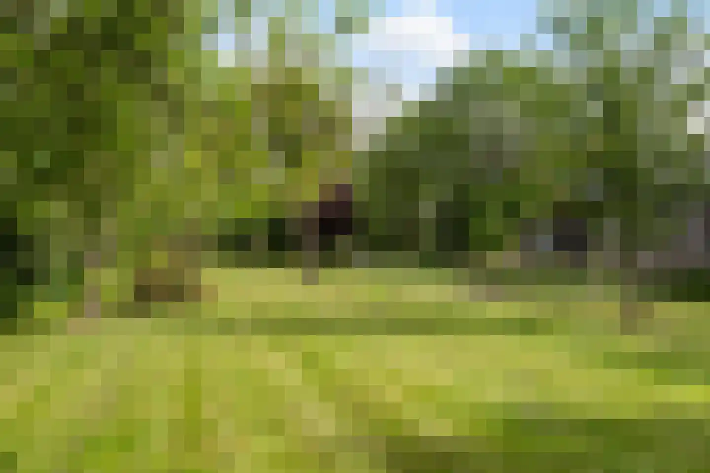 Dorpsstraat 1 Haule thumbnail 4