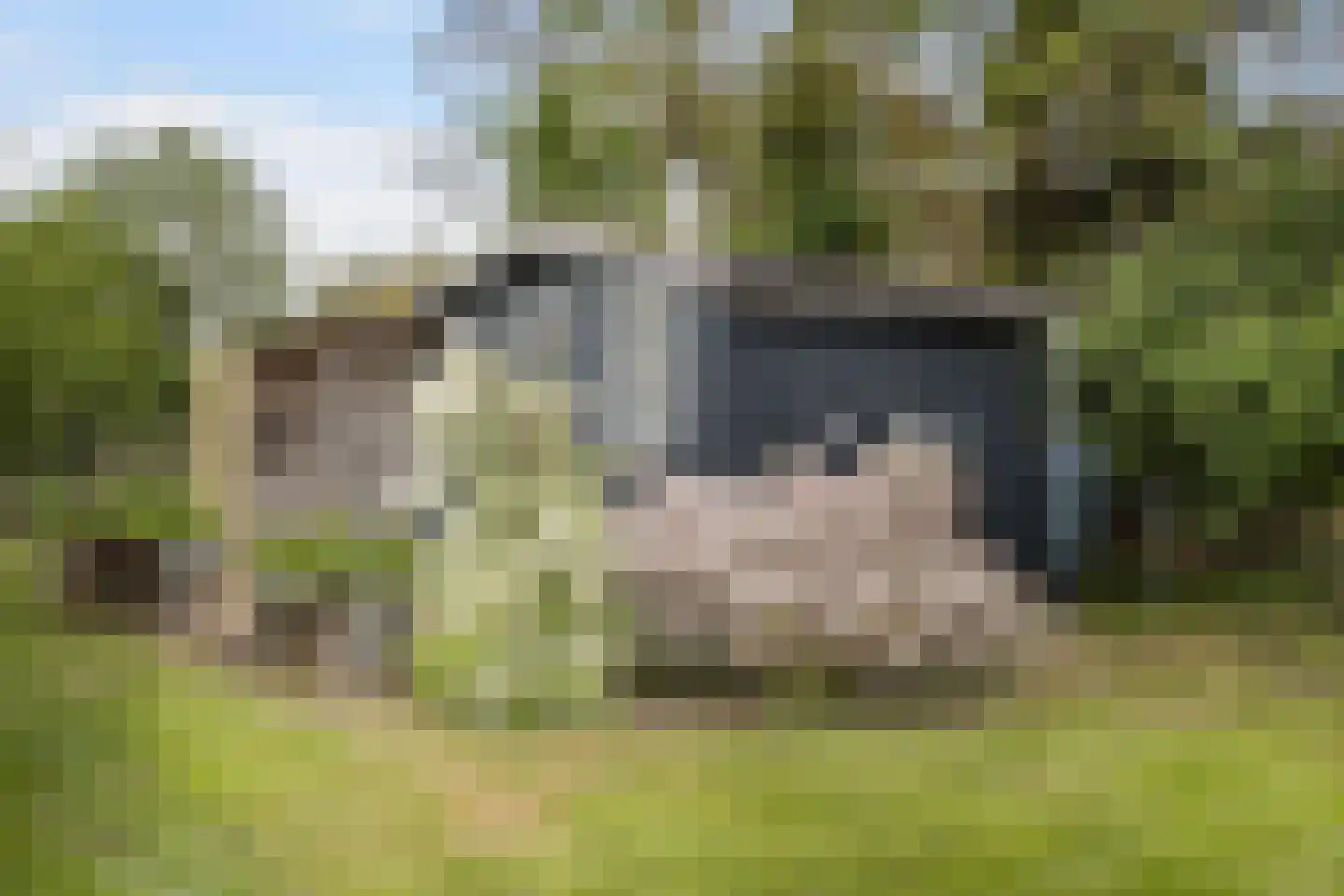 Dorpsstraat 1 Haule thumbnail 41