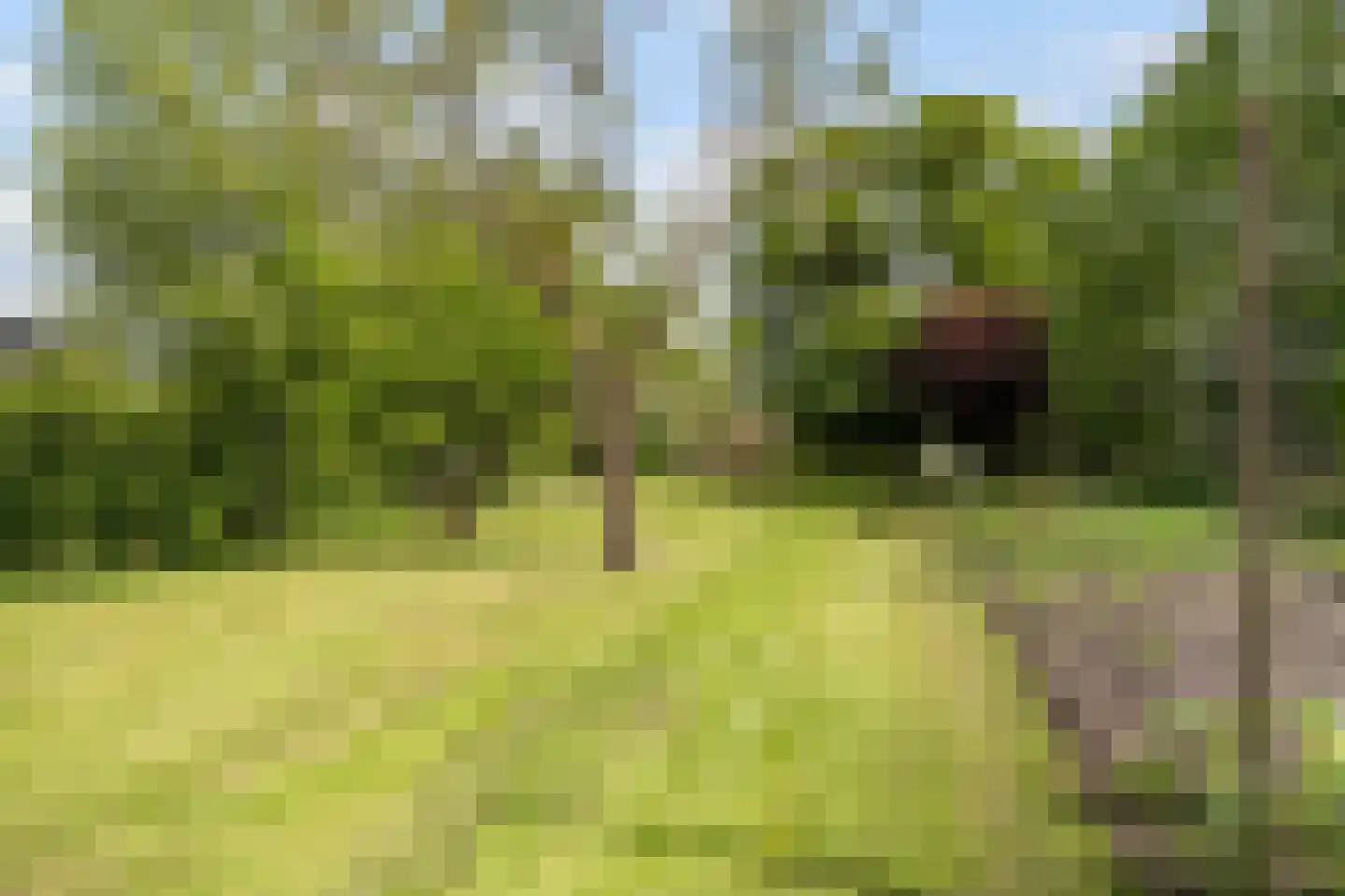 Dorpsstraat 1 Haule thumbnail 44