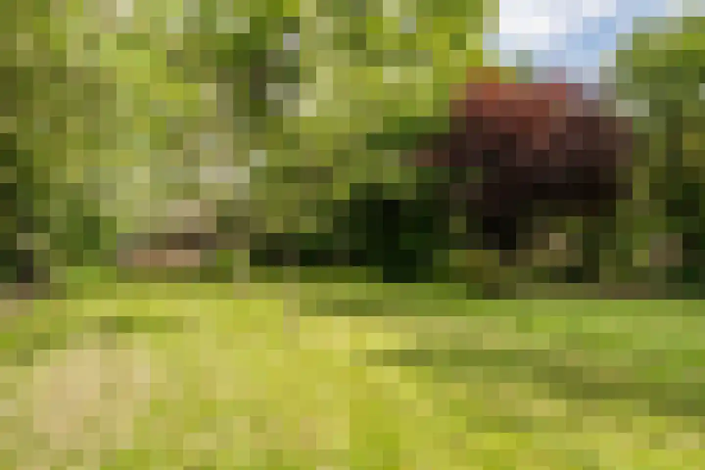 Dorpsstraat 1 Haule thumbnail 45