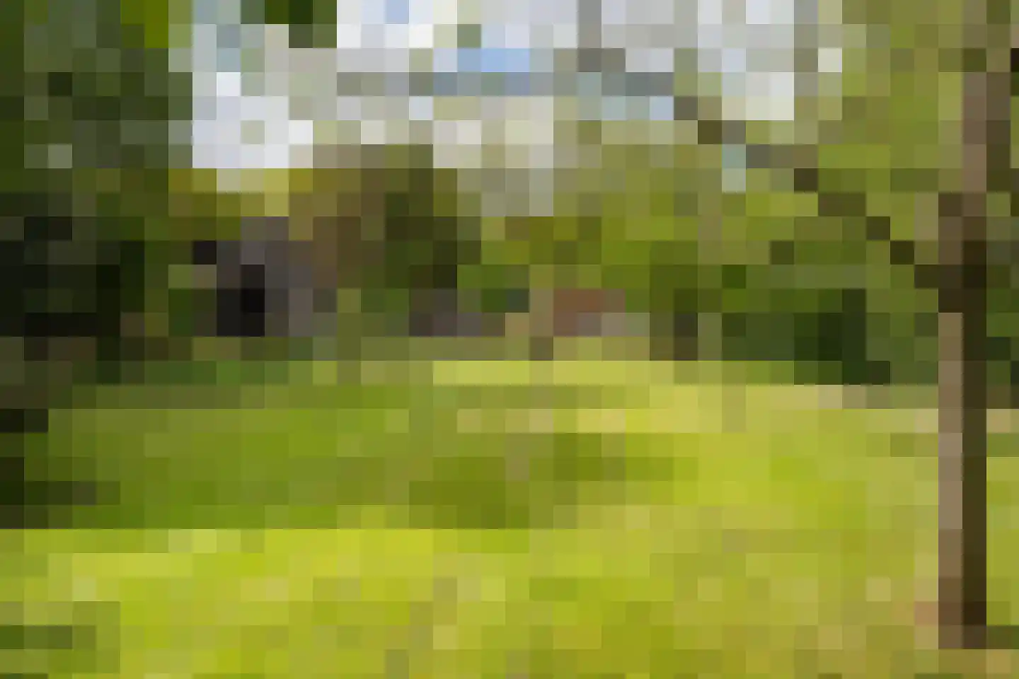 Dorpsstraat 1 Haule thumbnail 46