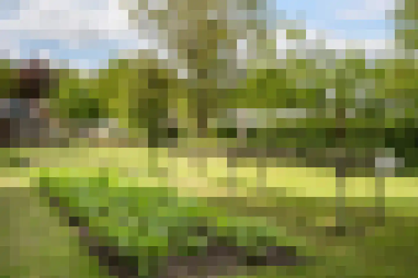 Dorpsstraat 1 Haule thumbnail 47