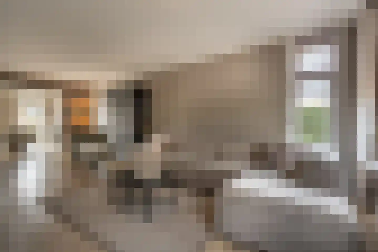 Dorpsstraat 1 Heinenoord thumbnail 10