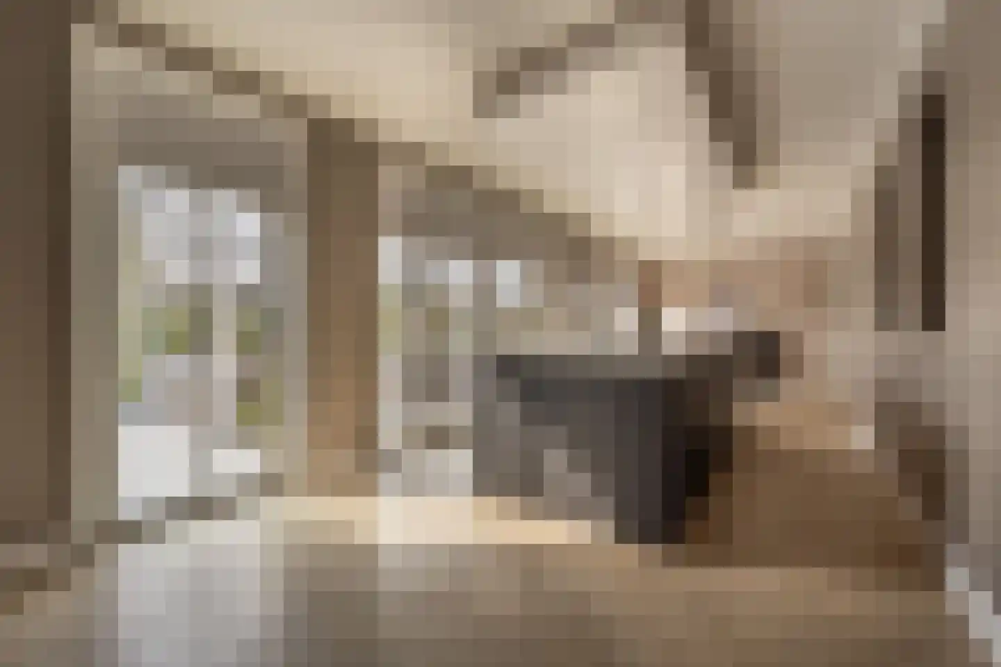 Dorpsstraat 1 Heinenoord thumbnail 18