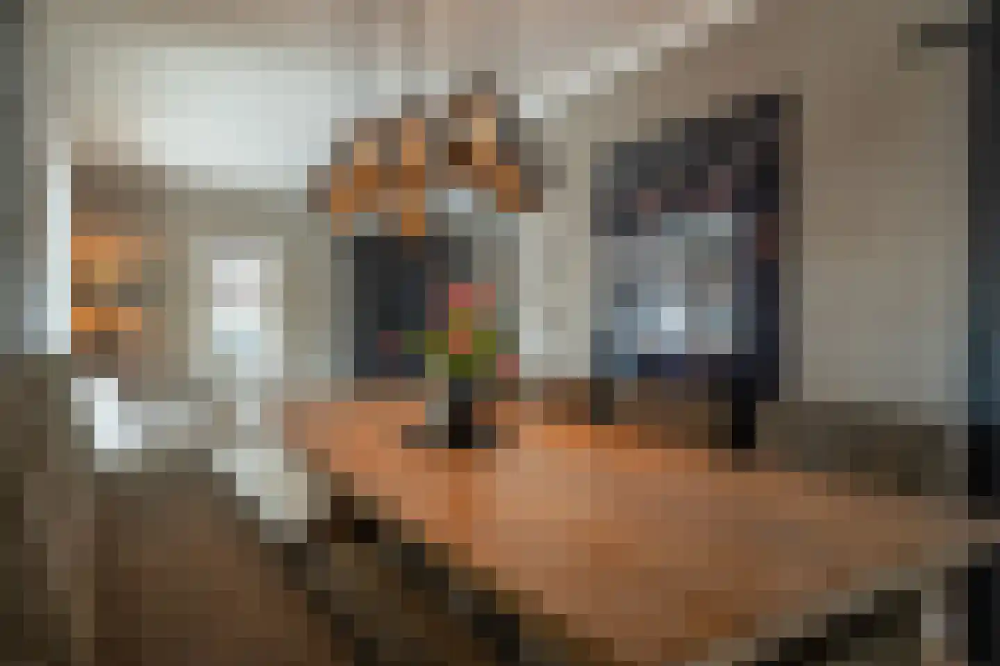 Dorpsstraat 1 Heinenoord thumbnail 23