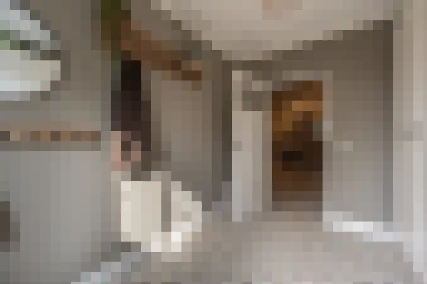 Dorpsstraat 1 Heinenoord thumbnail 30