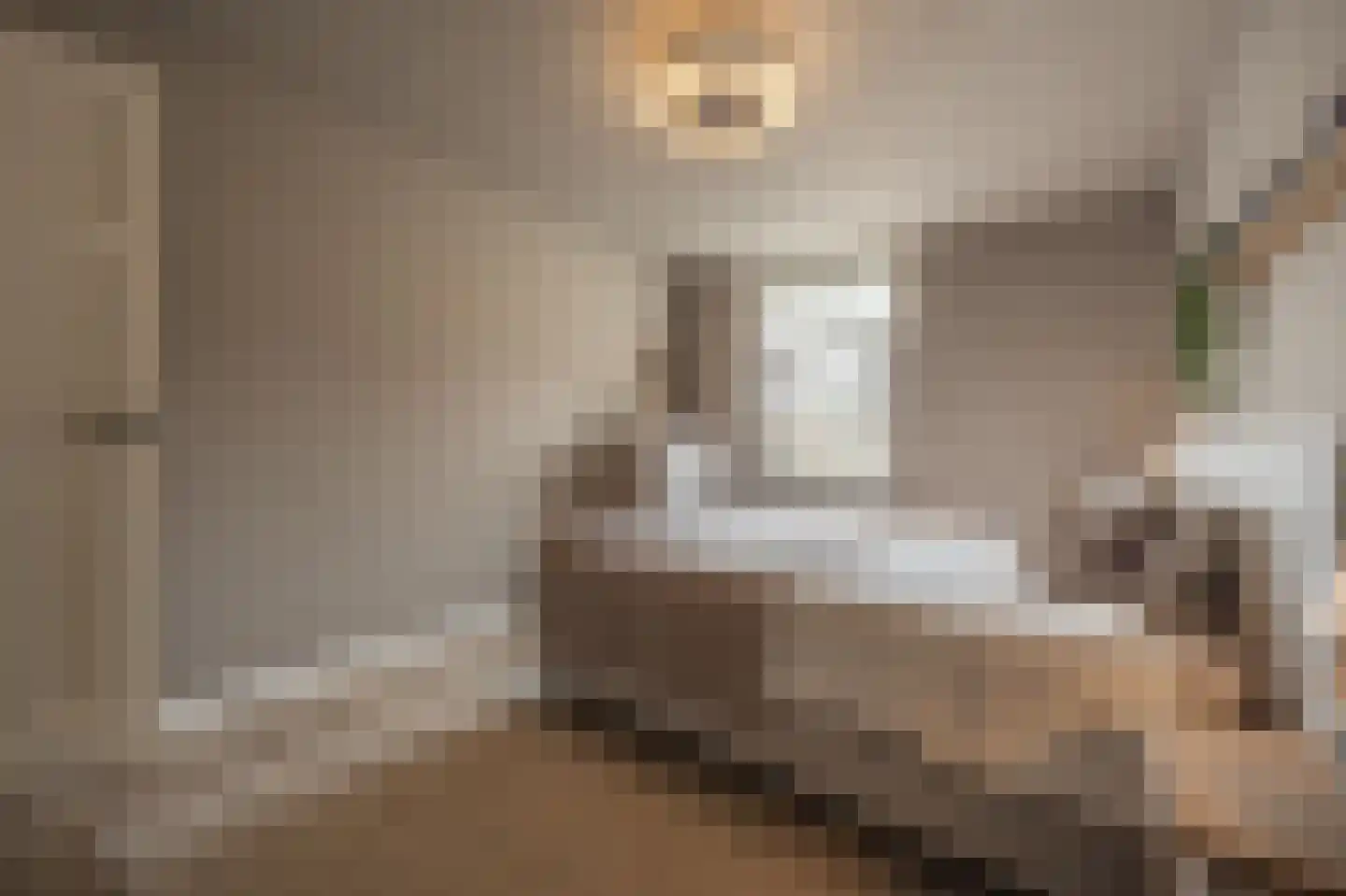 Dorpsstraat 1 Heinenoord thumbnail 32