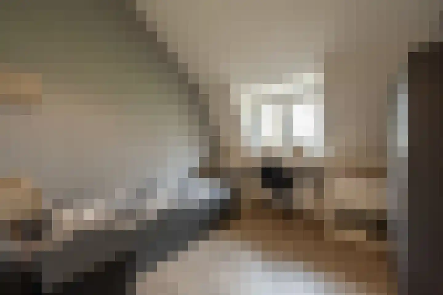 Dorpsstraat 1 Heinenoord thumbnail 36