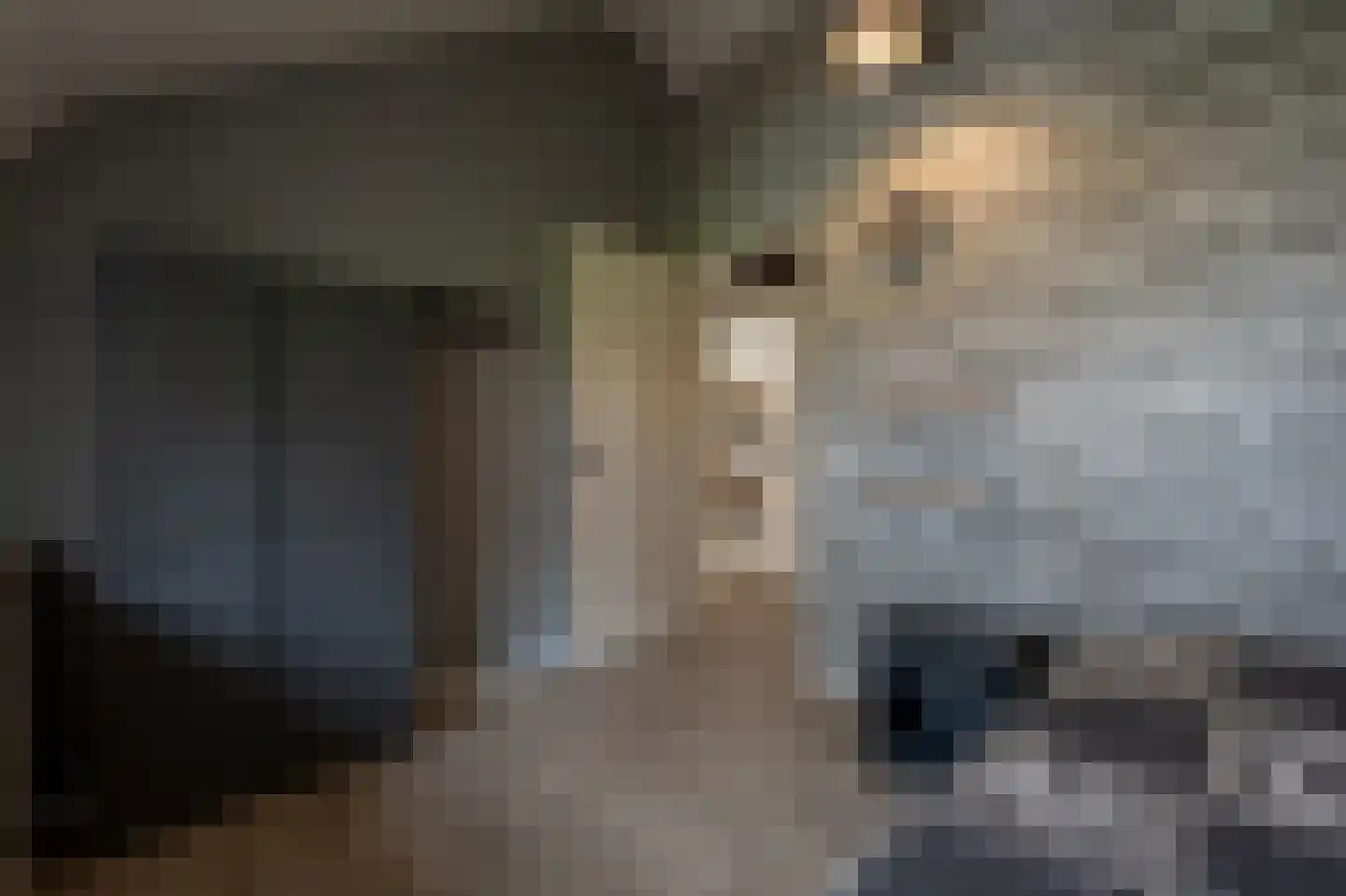 Dorpsstraat 1 Heinenoord thumbnail 37