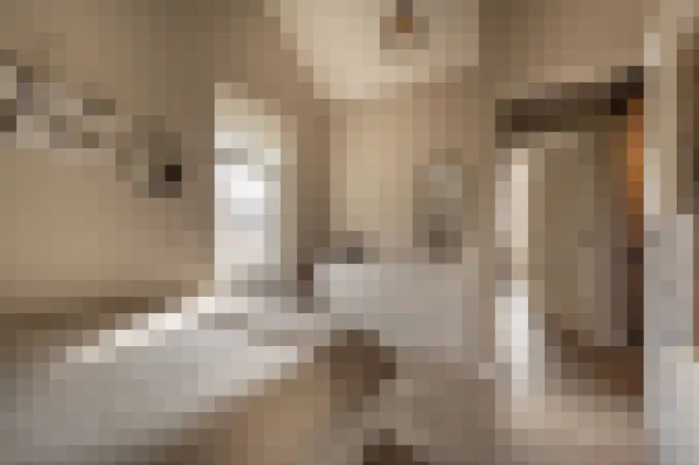 Dorpsstraat 1 Heinenoord thumbnail 39