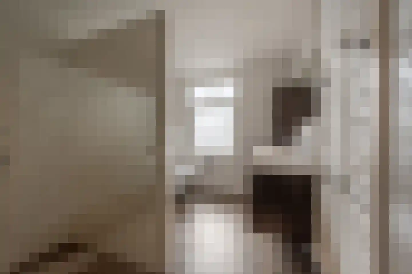Dorpsstraat 1 Heinenoord thumbnail 43