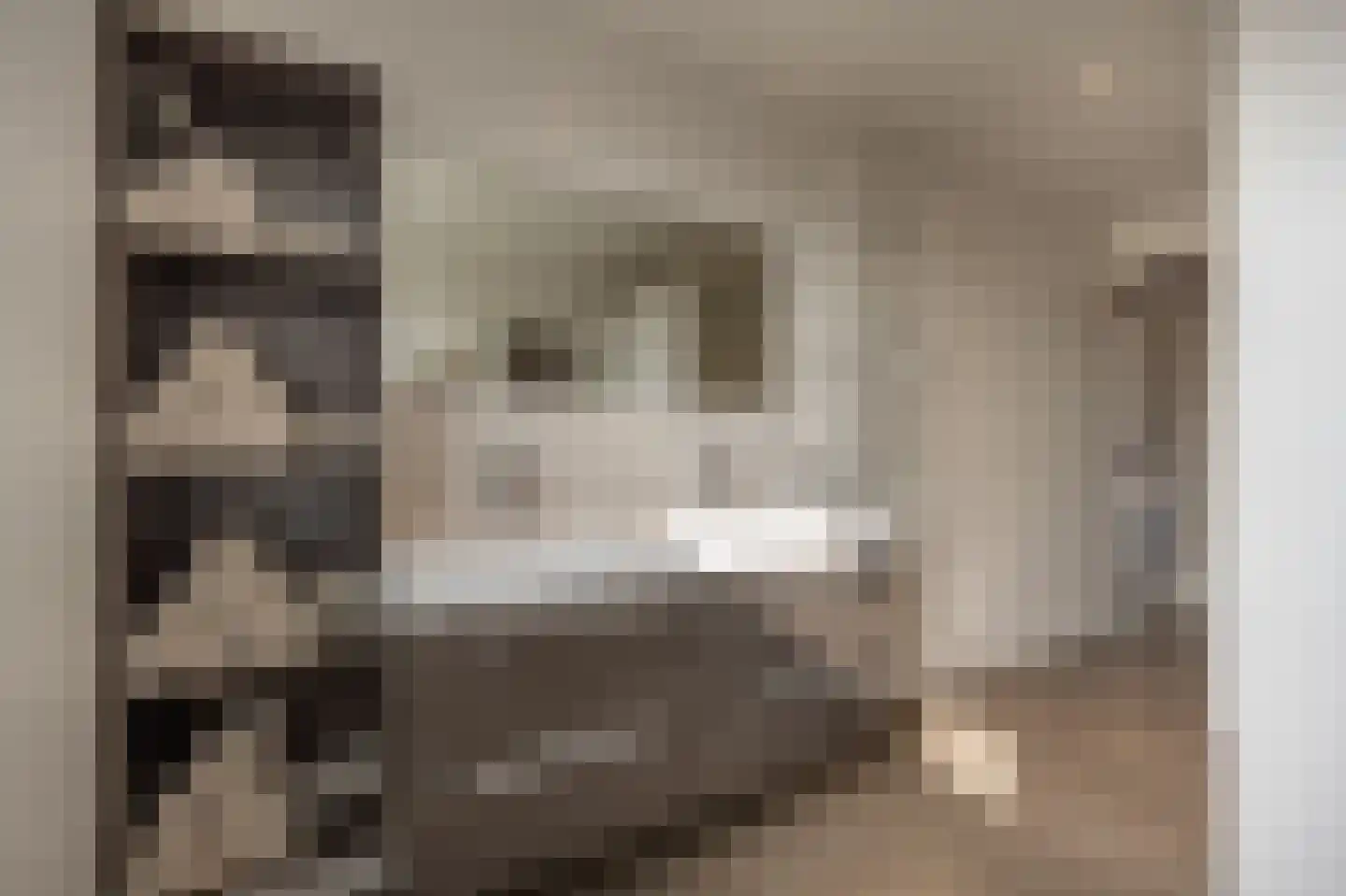 Dorpsstraat 1 Heinenoord thumbnail 44