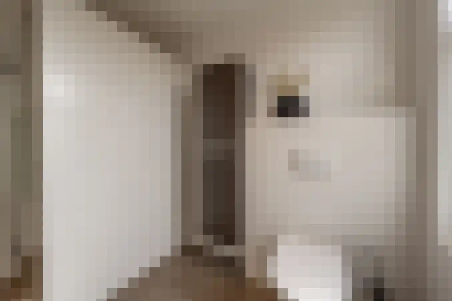 Dorpsstraat 1 Heinenoord thumbnail 45