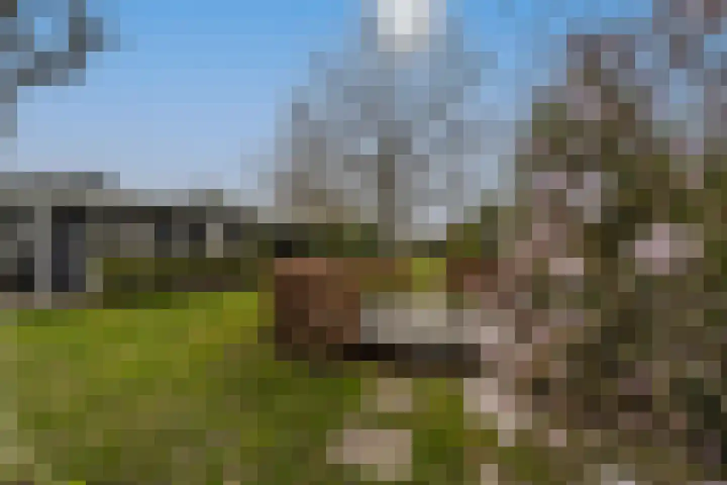 Dorpsstraat 1 Heinenoord thumbnail 52