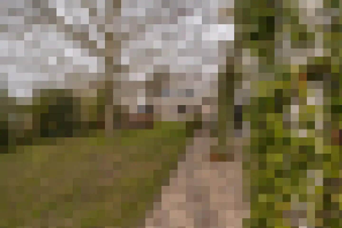 Dorpsstraat 1 Heinenoord thumbnail 54
