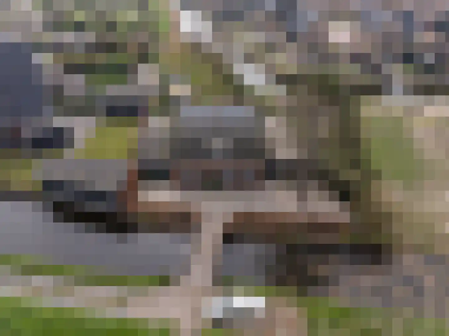 Dorpsstraat 1 Heinenoord thumbnail 64
