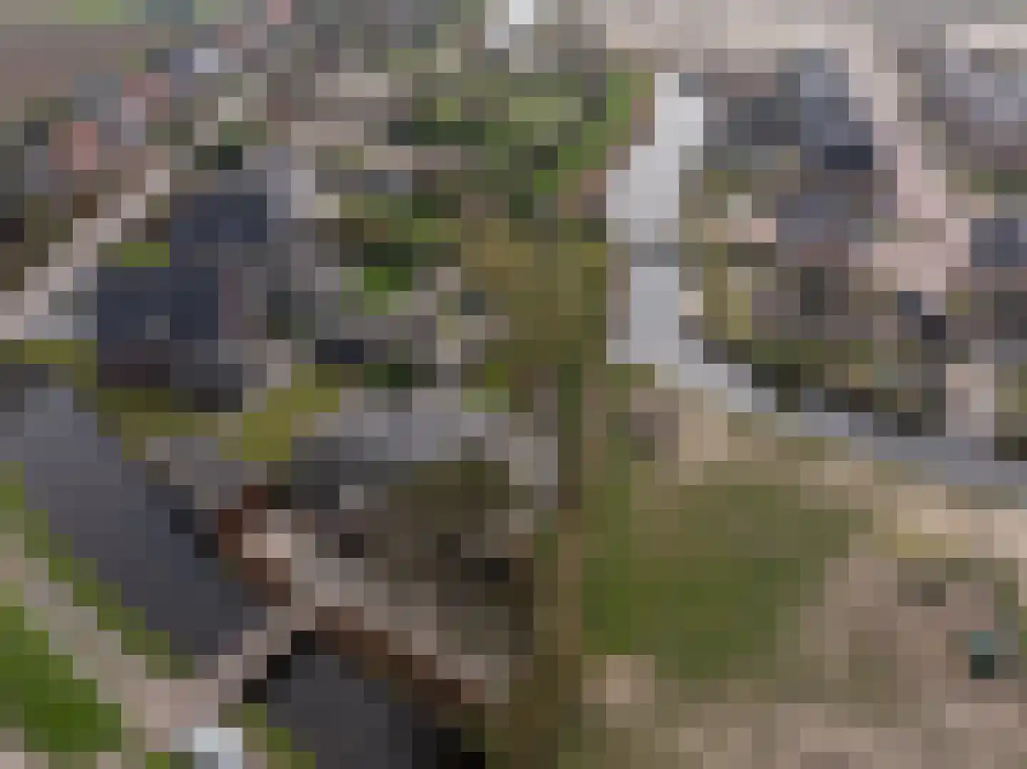 Dorpsstraat 1 Heinenoord thumbnail 65