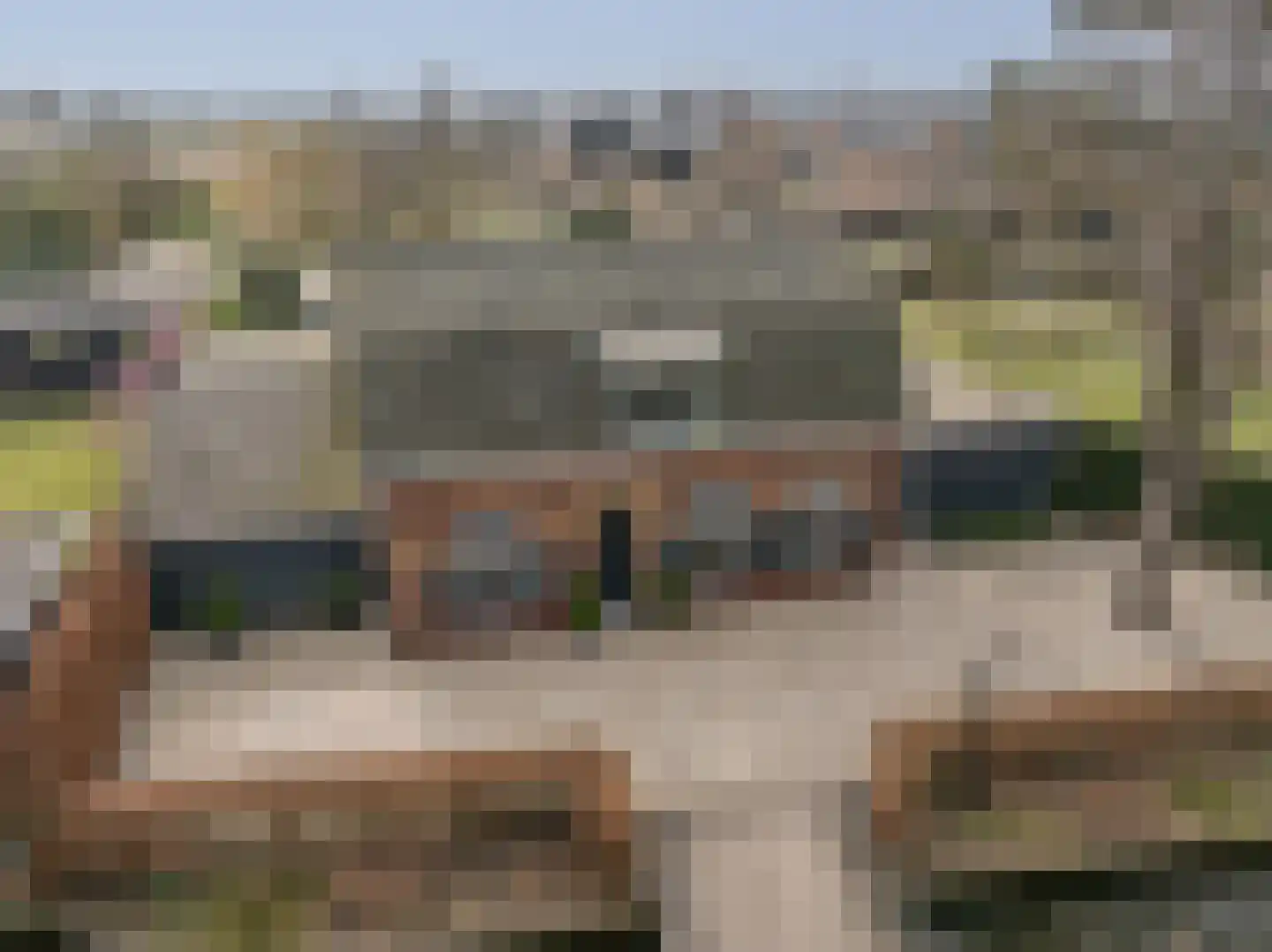 Dorpsstraat 1 Heinenoord thumbnail 67
