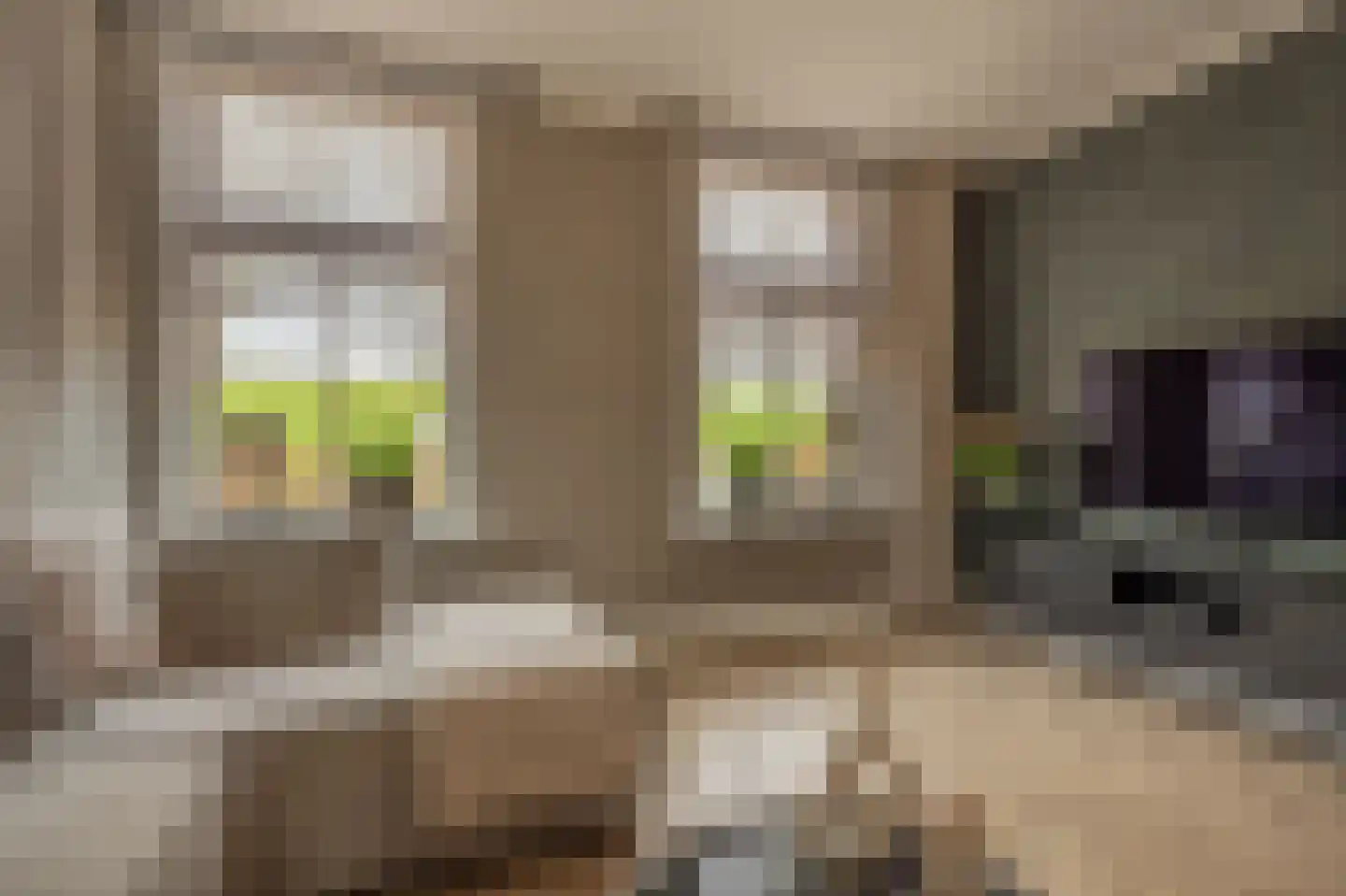 Dorpsstraat 1 Heinenoord thumbnail 8