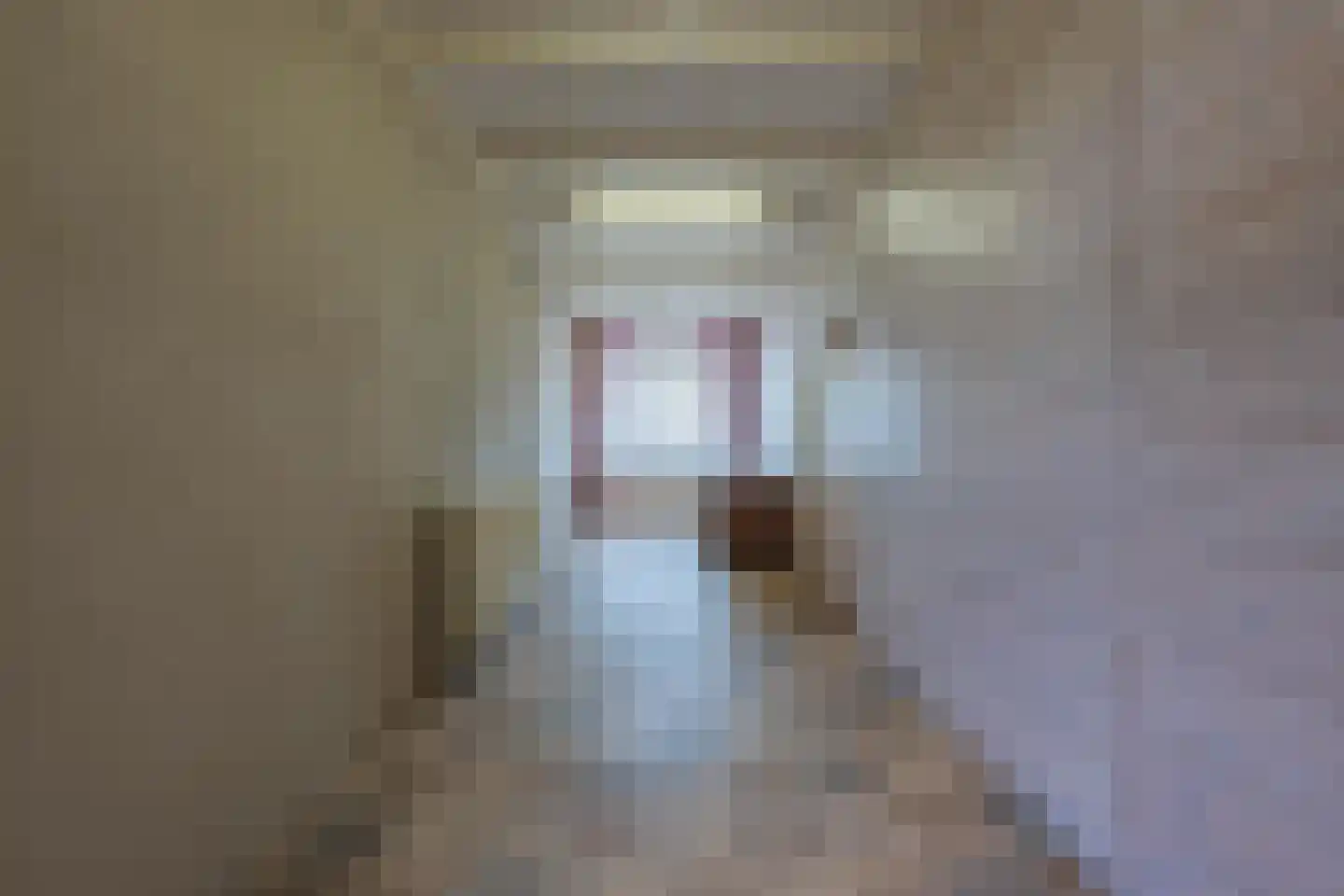 Dorpsstraat 1 Kerk-Avezaath thumbnail 28