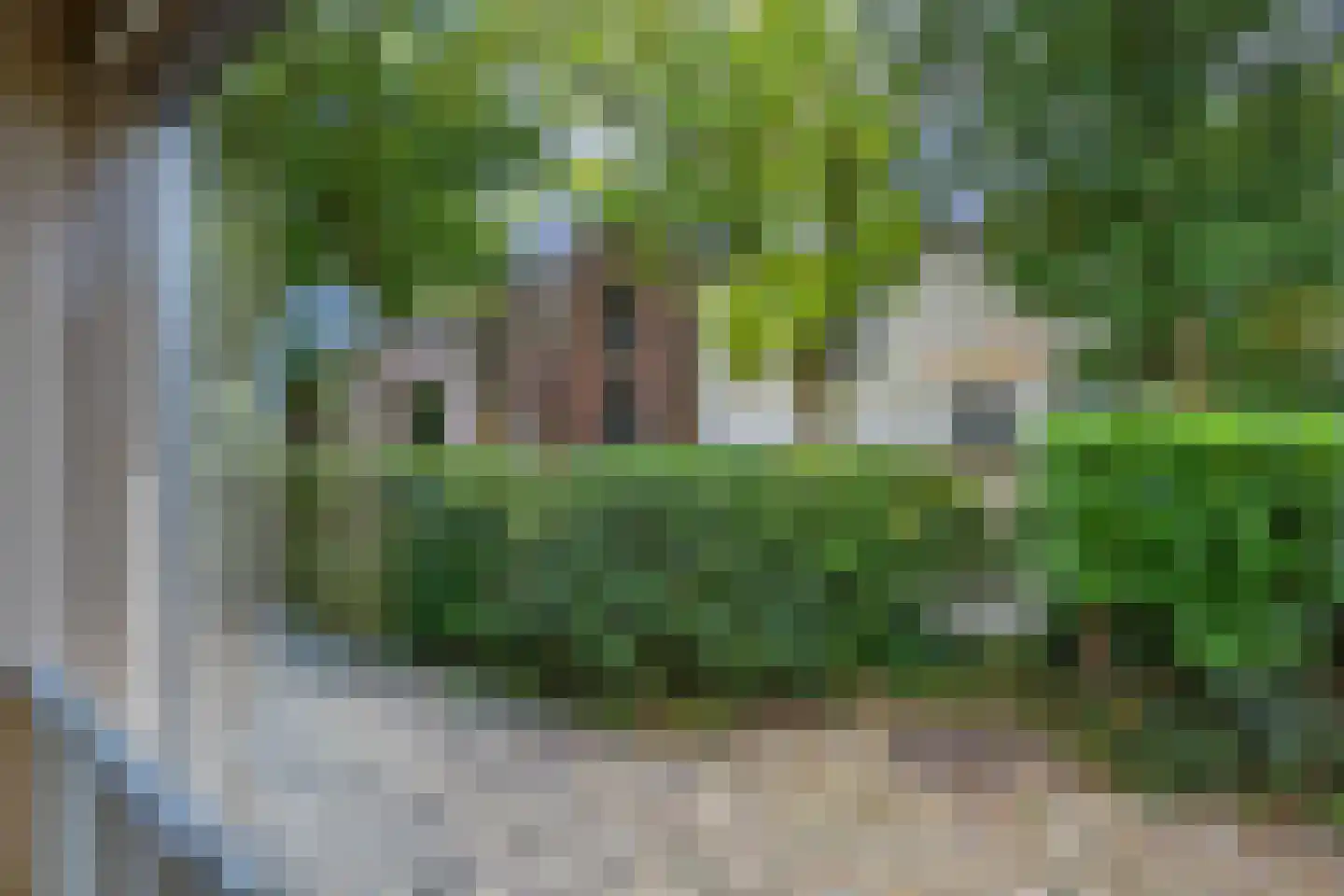 Dorpsstraat 1 Kerk-Avezaath thumbnail 39