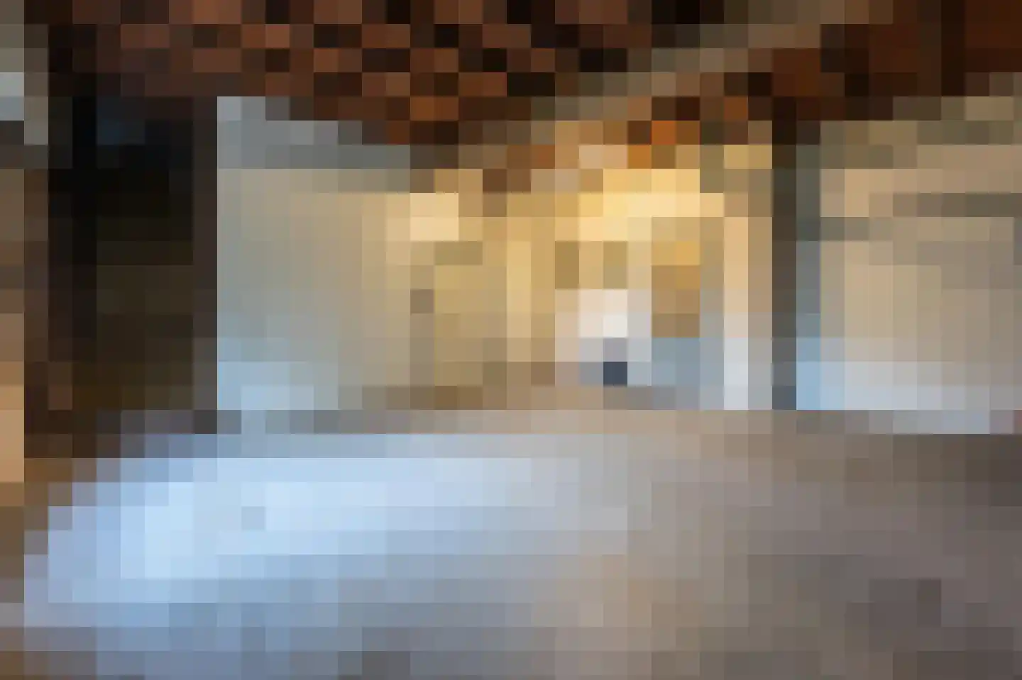 Dorpsstraat 1 Kerk-Avezaath thumbnail 44