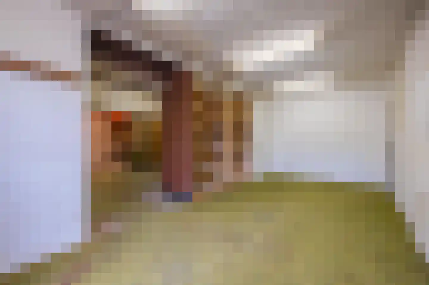 Dorpsstraat 1 Kerk-Avezaath thumbnail 50