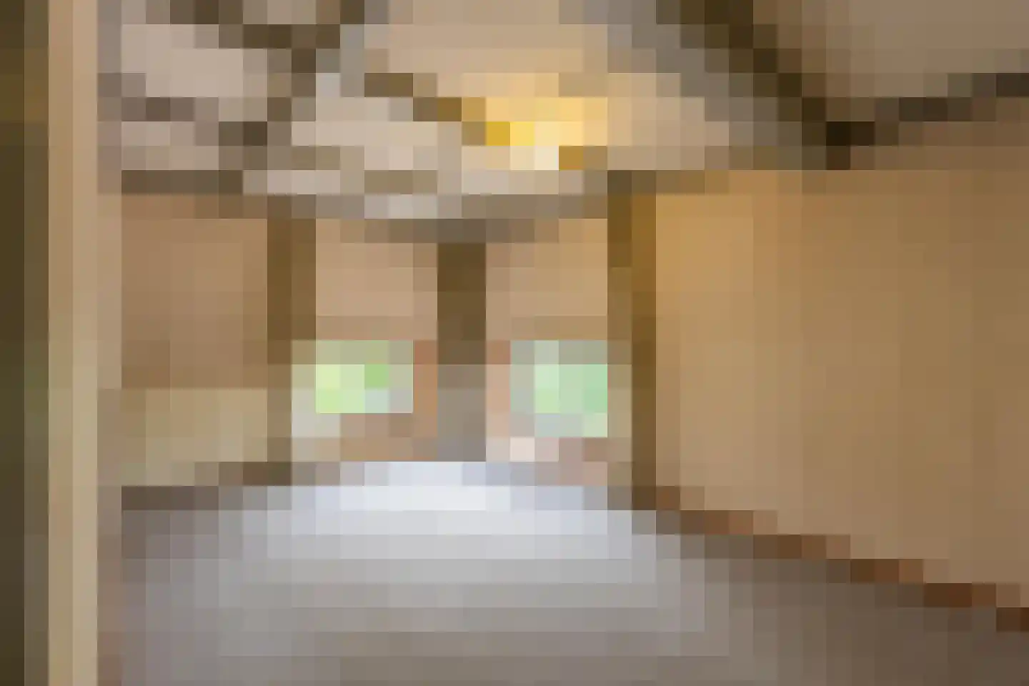 Dorpsstraat 1 Kerk-Avezaath thumbnail 60