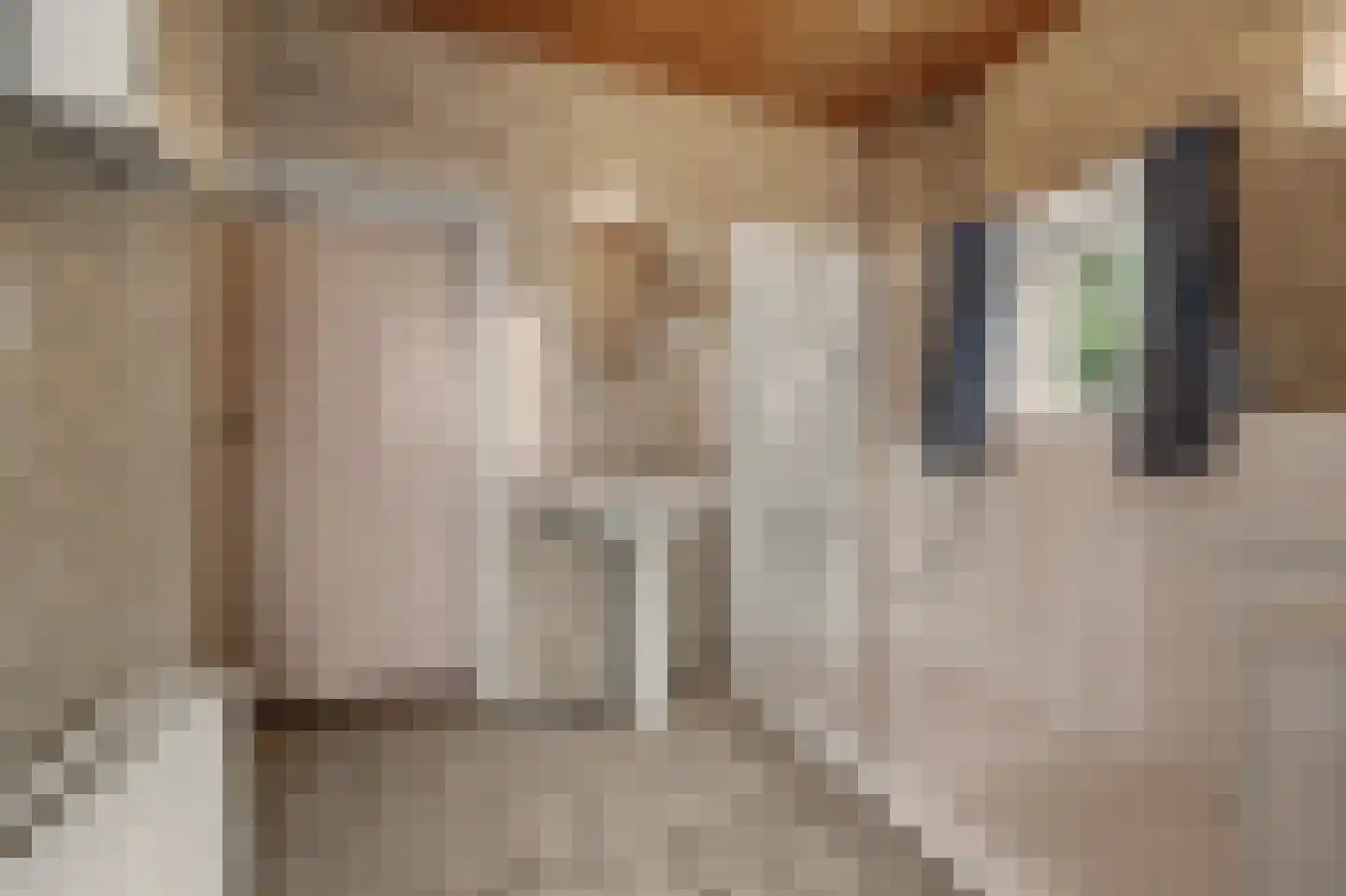 Dorpsstraat 1 Meliskerke thumbnail 16