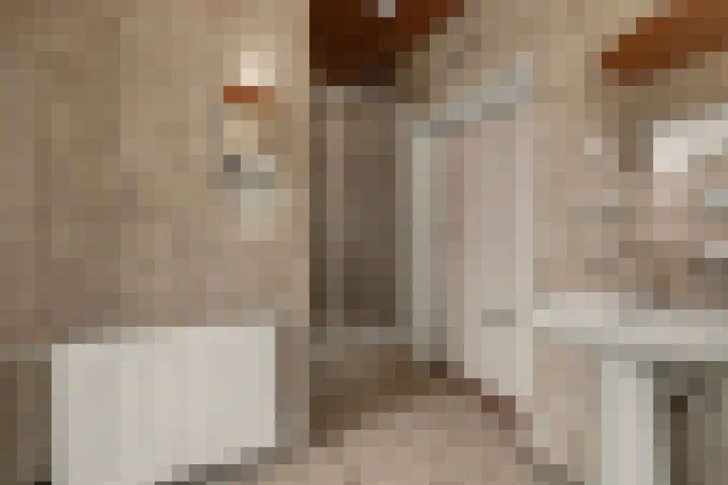 Dorpsstraat 1 Meliskerke thumbnail 17