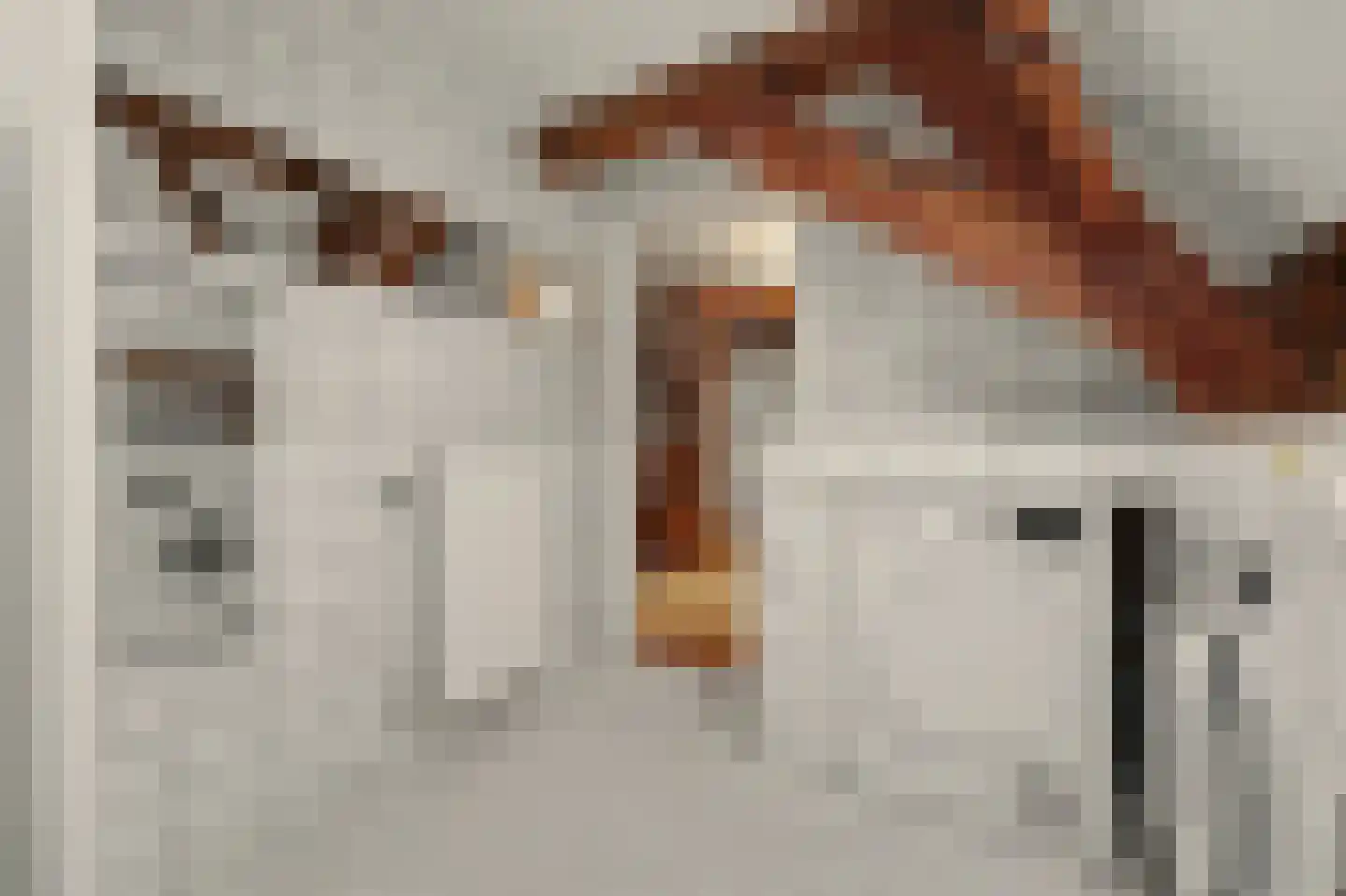 Dorpsstraat 1 Meliskerke thumbnail 29