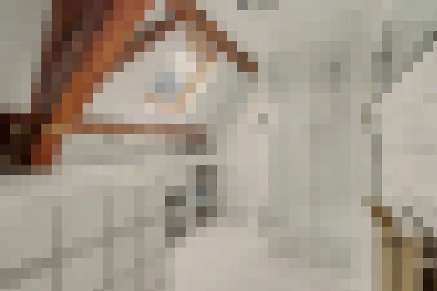 Dorpsstraat 1 Meliskerke thumbnail 30