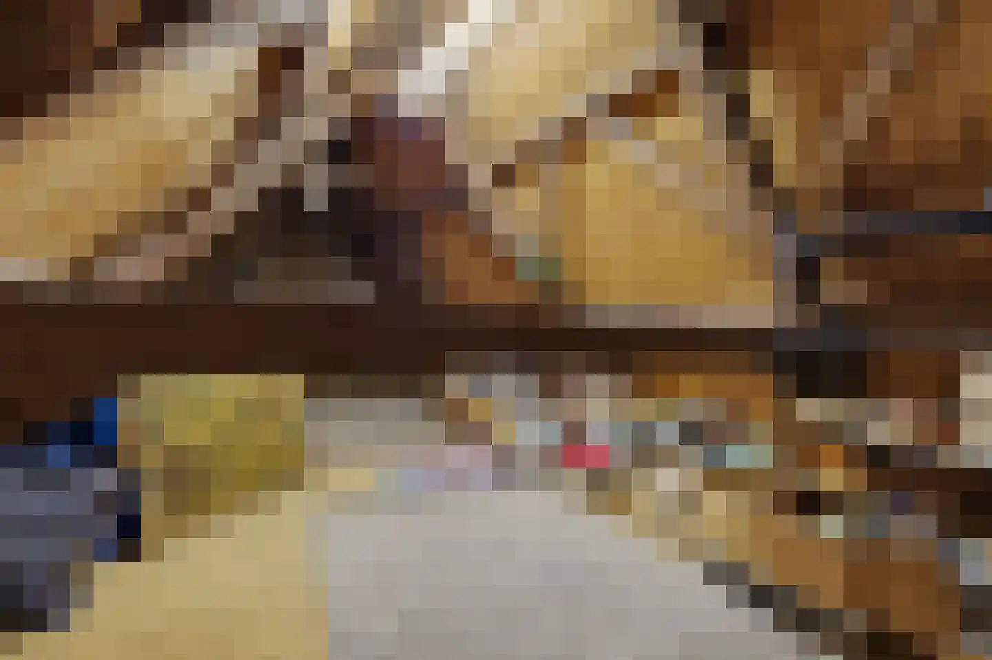 Dorpsstraat 1 Meliskerke thumbnail 31