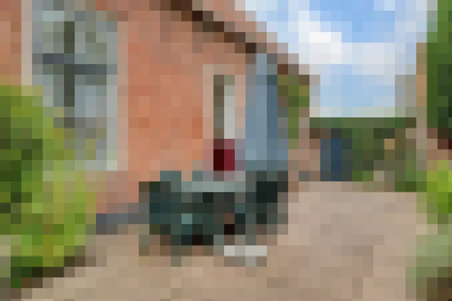 Dorpsstraat 1 Meliskerke thumbnail 36