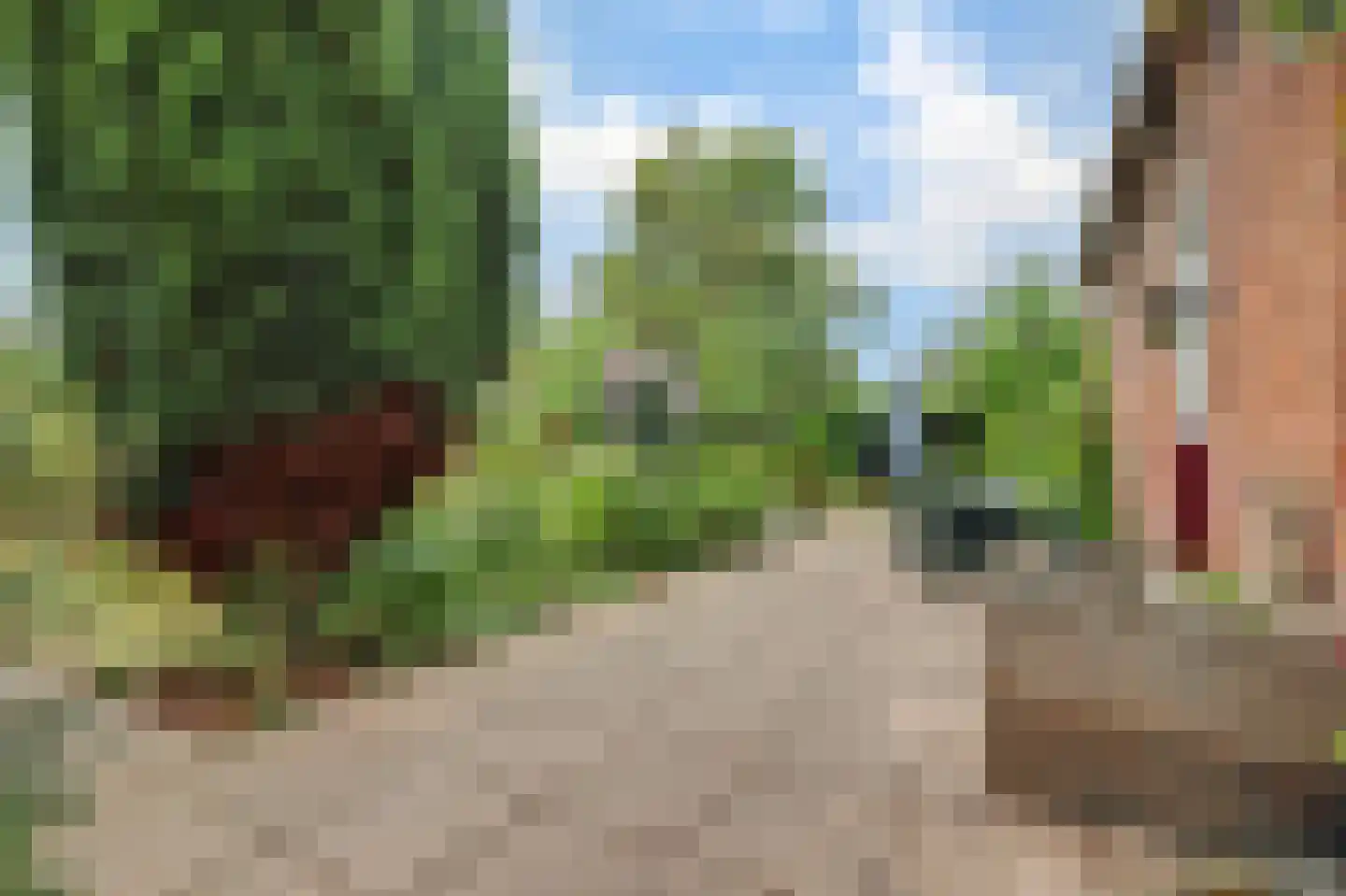 Dorpsstraat 1 Meliskerke thumbnail 37