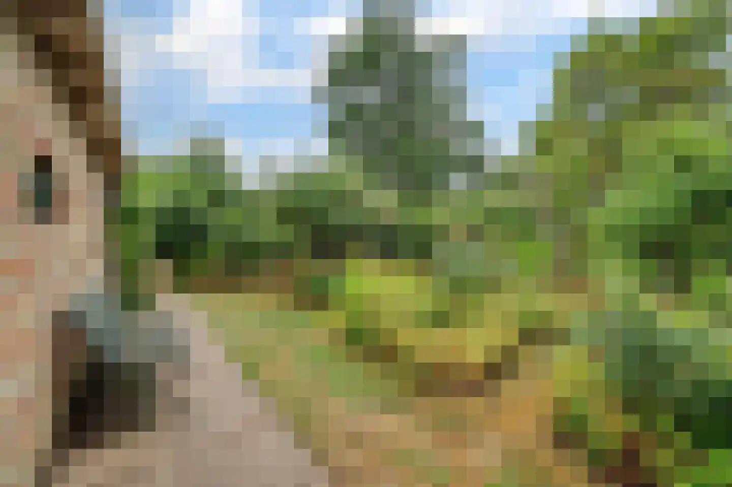 Dorpsstraat 1 Meliskerke thumbnail 38