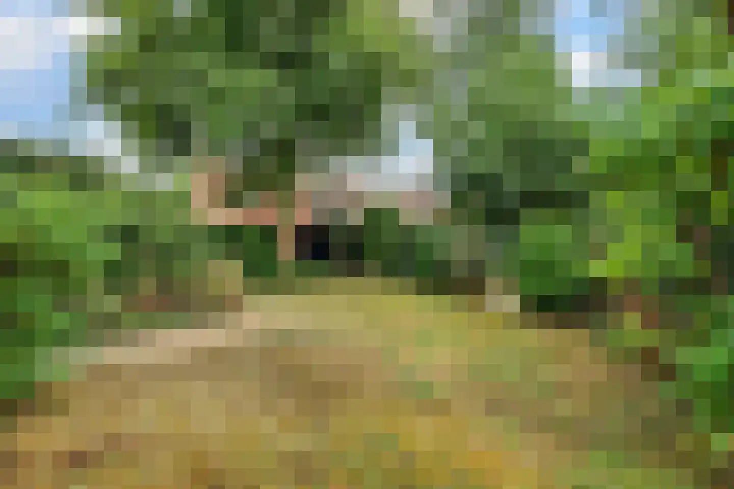 Dorpsstraat 1 Meliskerke thumbnail 39