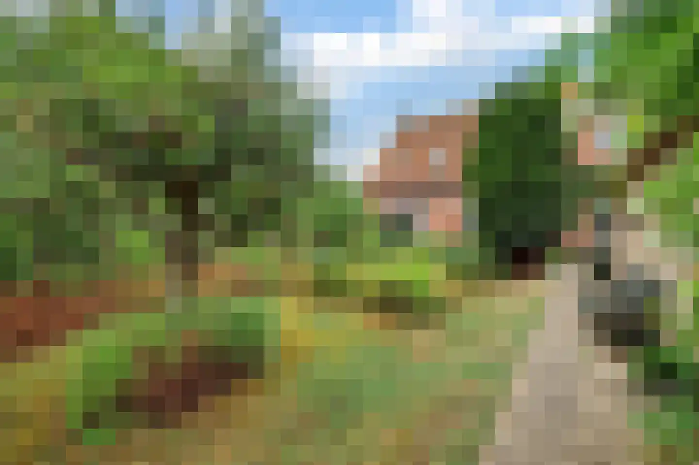 Dorpsstraat 1 Meliskerke thumbnail 42
