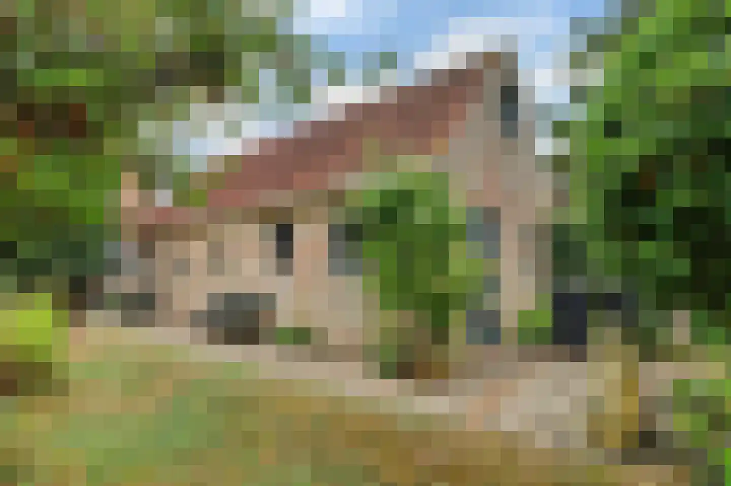 Dorpsstraat 1 Meliskerke thumbnail 43