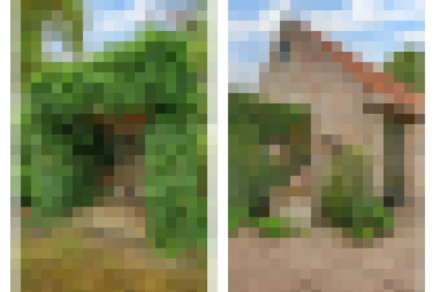 Dorpsstraat 1 Meliskerke thumbnail 45