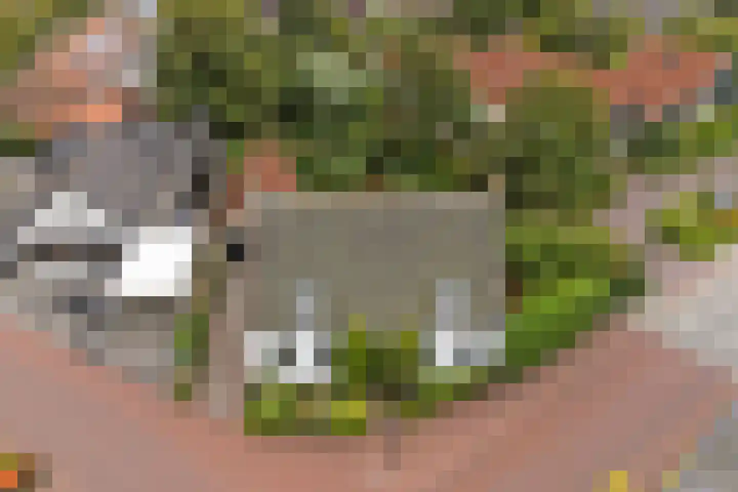 Dorpsstraat 1 Meliskerke thumbnail 46