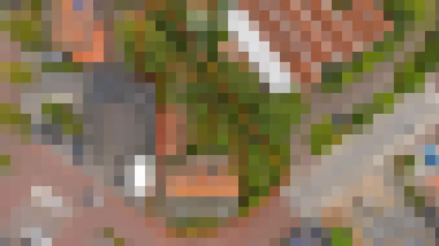 Dorpsstraat 1 Meliskerke thumbnail 47