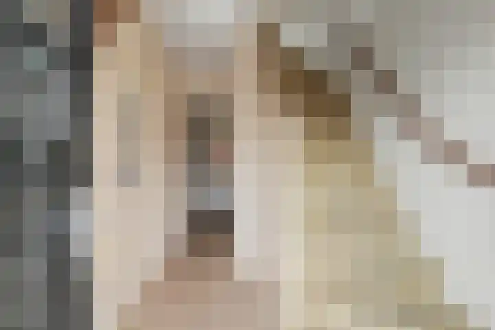 Dorpsstraat 1 Tuitjenhorn thumbnail 5