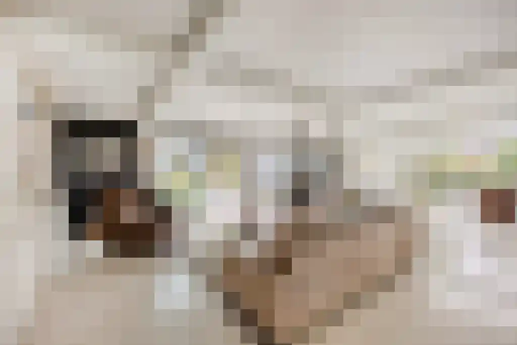 Dorpsstraat 1 Watergang thumbnail 4