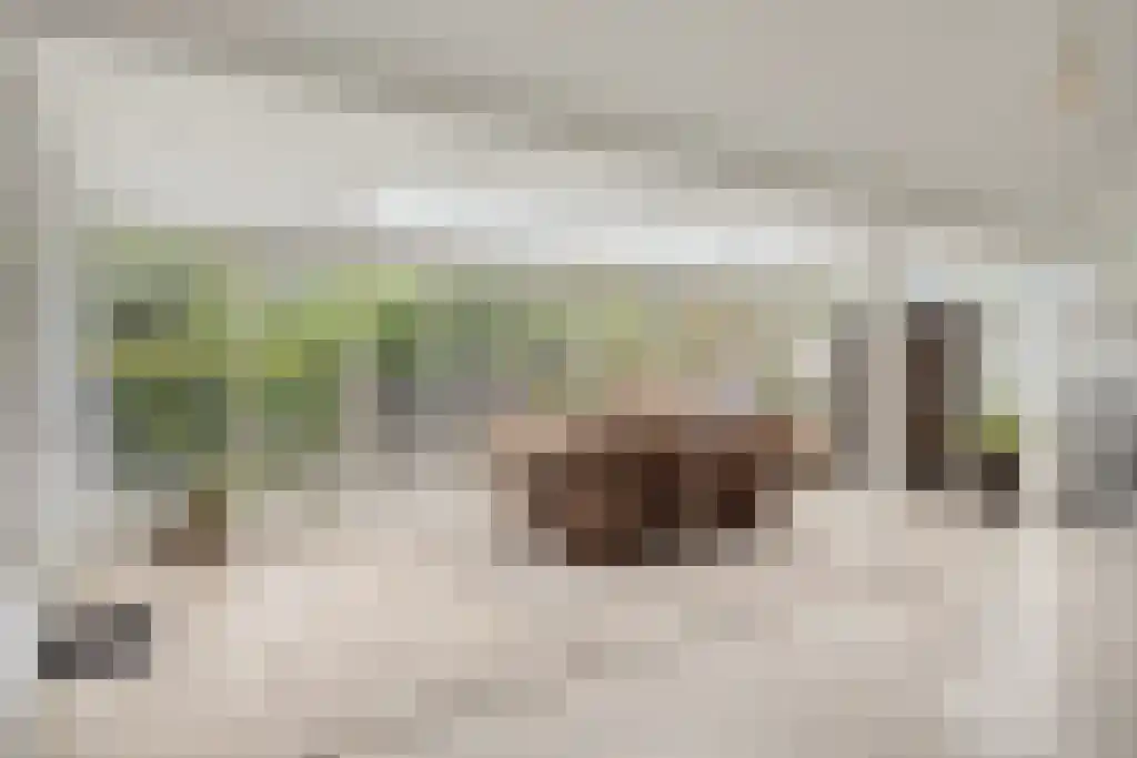 Dorpsstraat 1 Watergang thumbnail 6